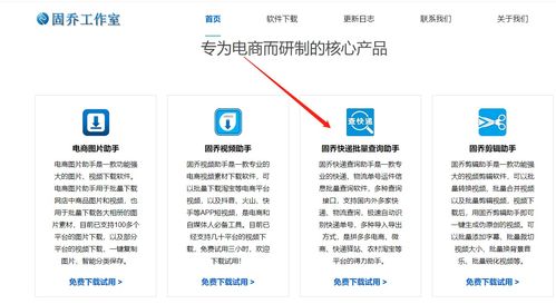 自动批量识别顺丰UPS在途信息 查询软件效率对比与网络信息安全开发指南